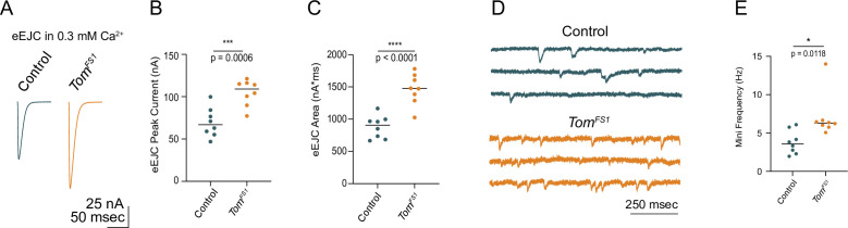 Figure 2—figure supplement 1.