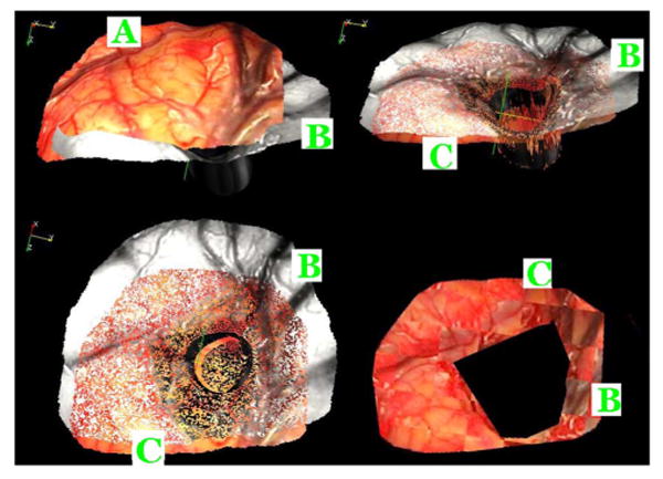 Fig. 9