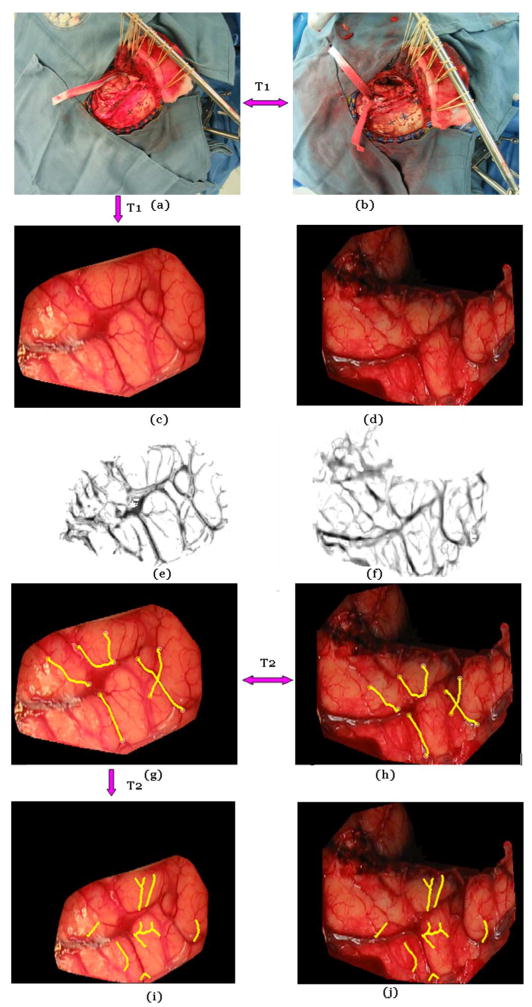 Fig. 5