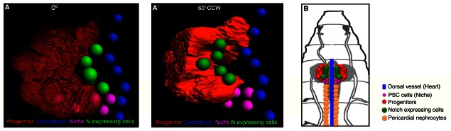 Figure 1—figure supplement 2.