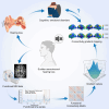 Graphical Abstract