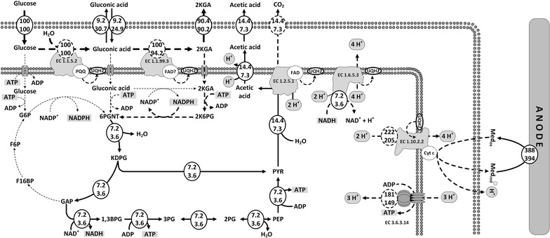 Fig. 6