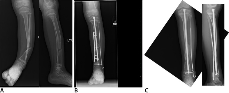 Fig. 5