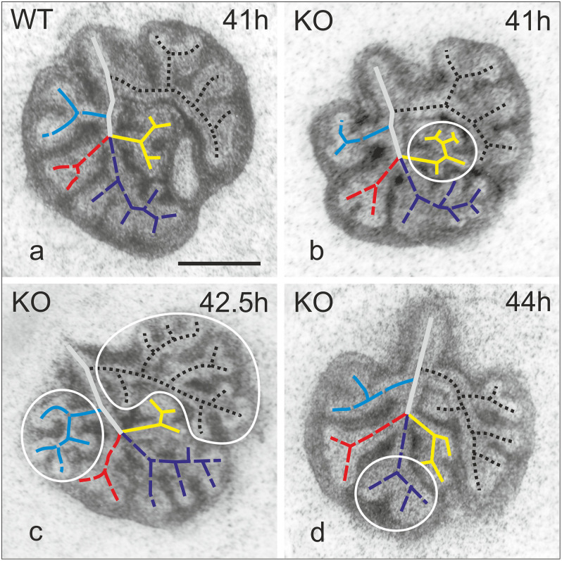 FIGURE 3