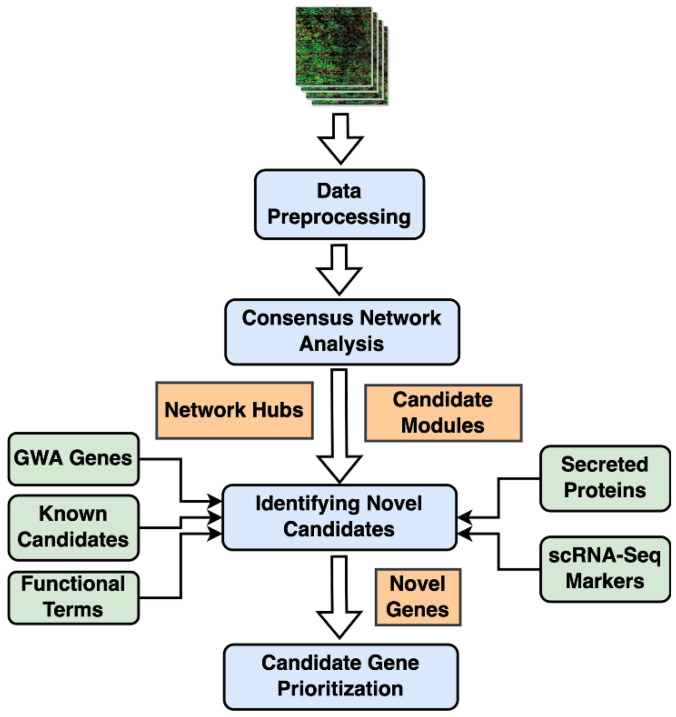 Figure 7