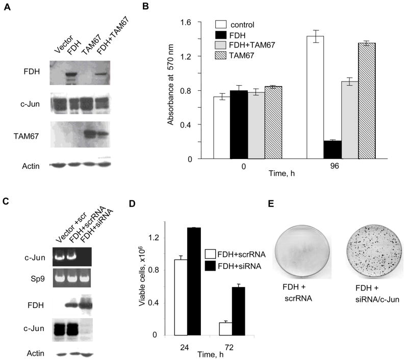 FIGURE 6