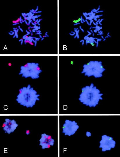 Figure  1