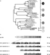 Fig. 7