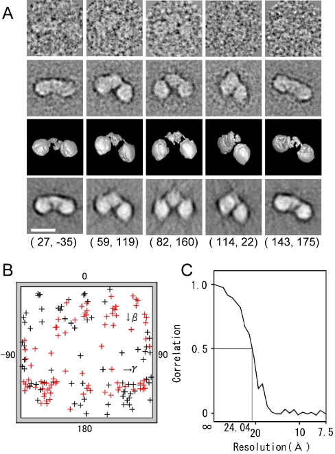 Fig. 3.