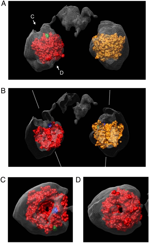 Fig. 5.