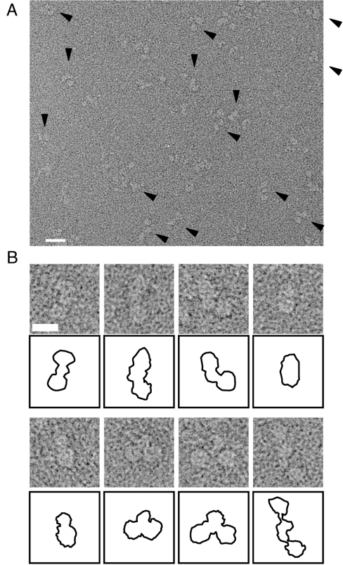 Fig. 2.