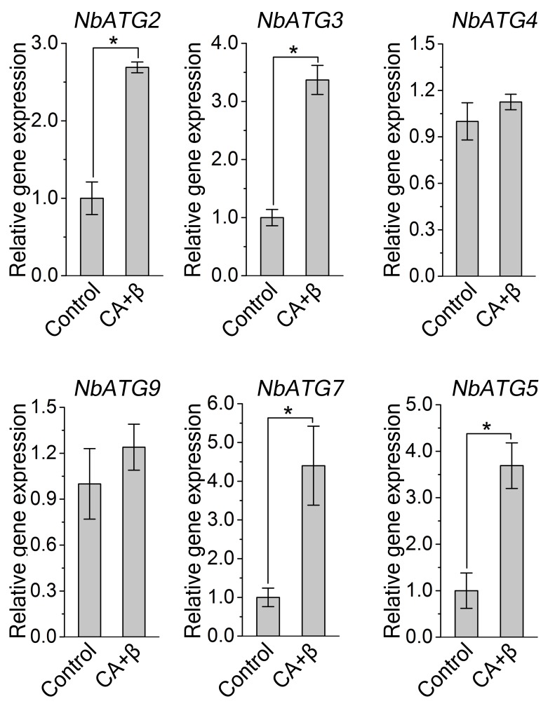 Figure 2—figure supplement 1.