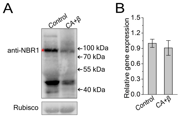 Figure 2—figure supplement 2.