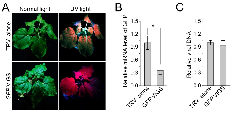 Figure 3—figure supplement 4.