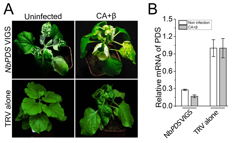 Figure 3—figure supplement 3.