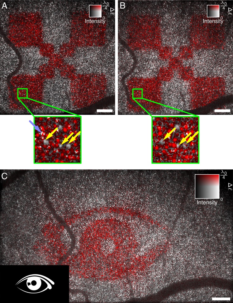 Fig. 4.