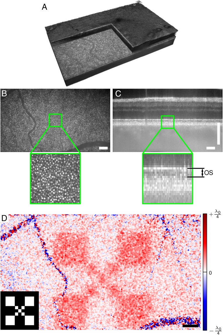 Fig. 2.