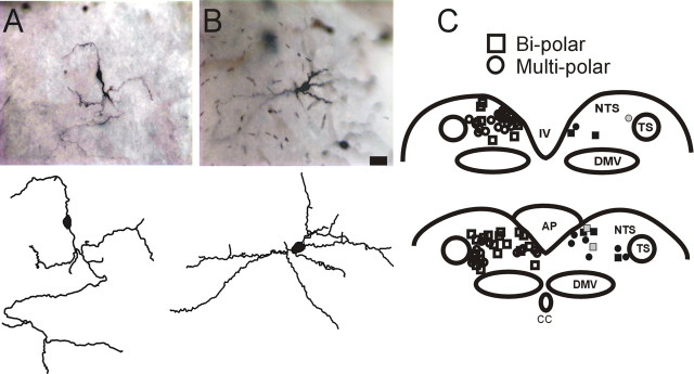 Figure 5.