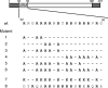 FIG. 1.