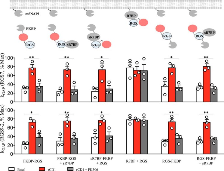 FIGURE 6.