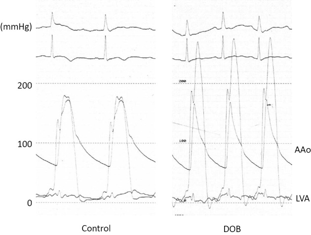 Figure 4C.