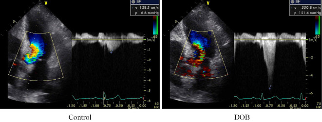 Figure 2C.