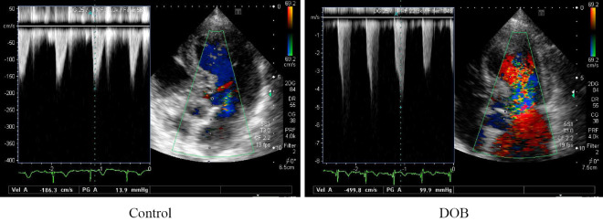 Figure 3C.