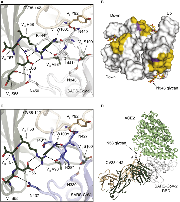 Figure 4