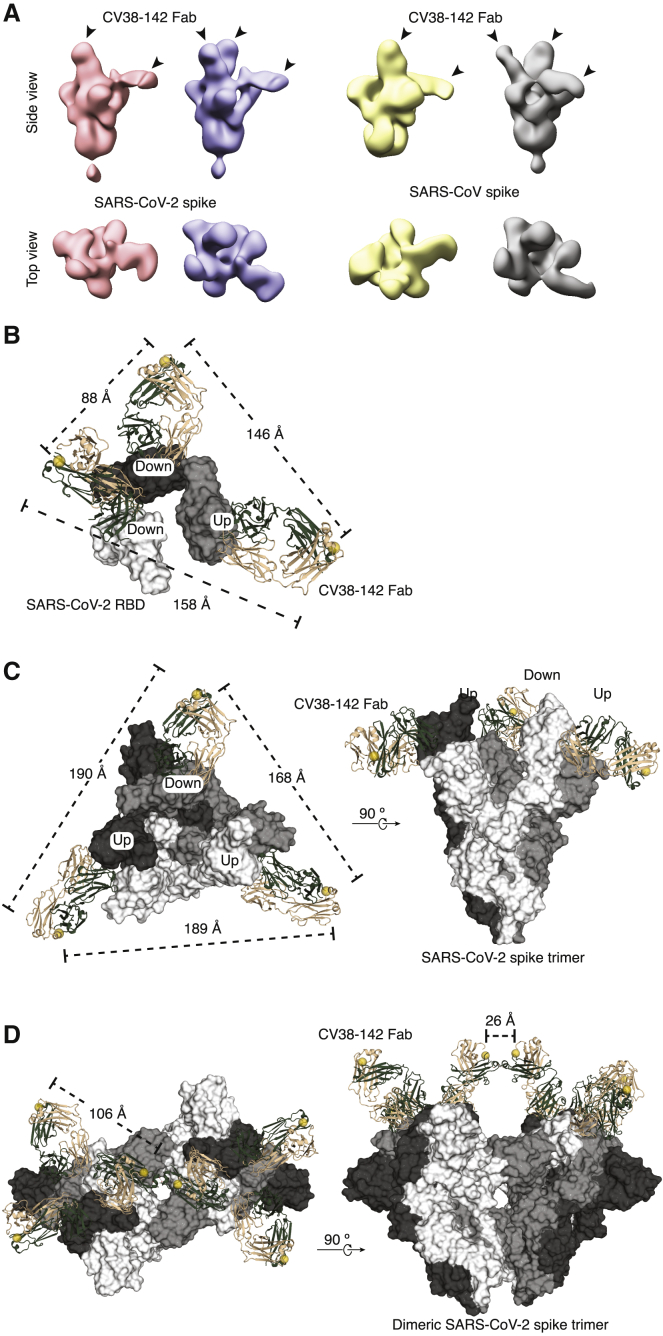 Figure 6