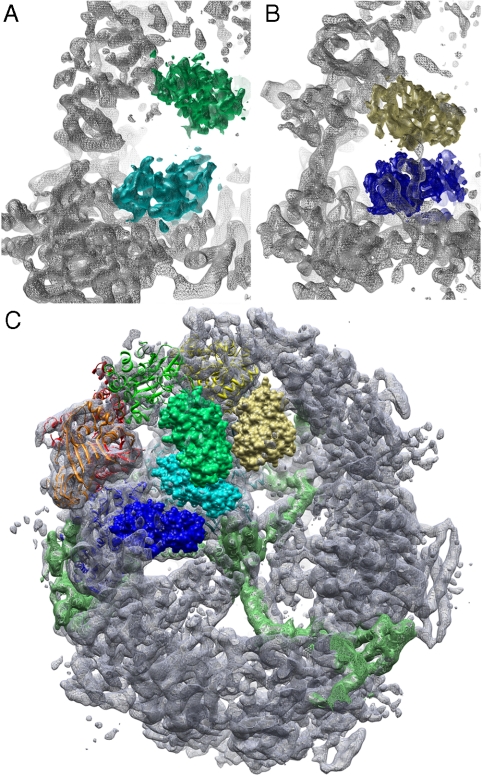 Fig. 4.