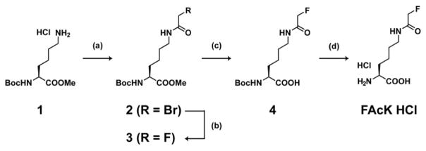 Scheme 2