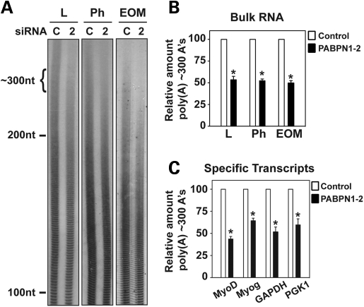 Figure 4.