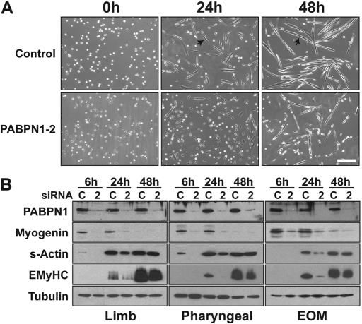 Figure 3.