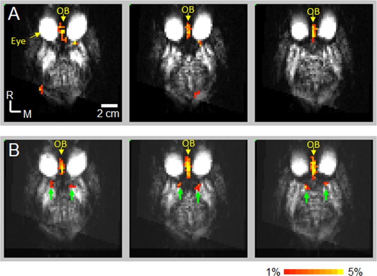 Fig 3