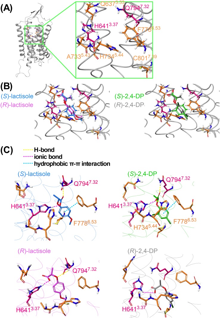 Fig 2