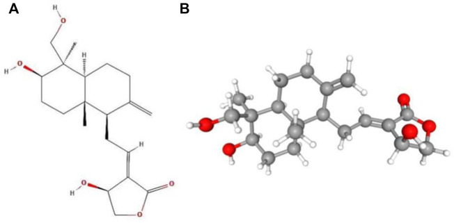 FIGURE 2