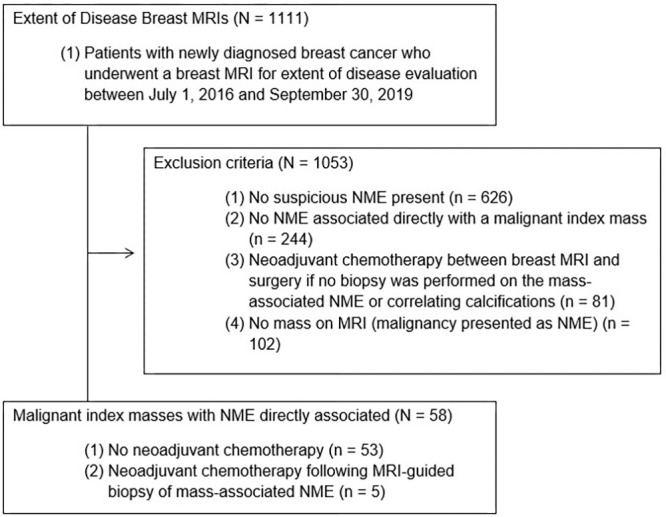 Flowchart of patients included in this retrospective cohort study. NME = nonmass enhancement.