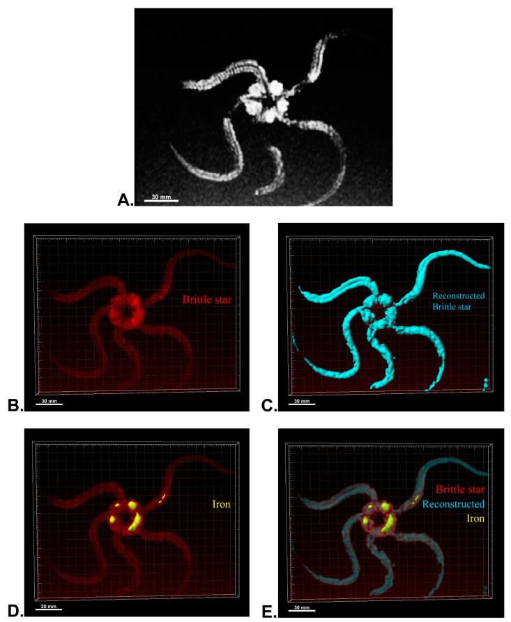 Figure 7