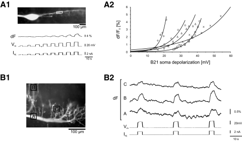 FIG. 2.