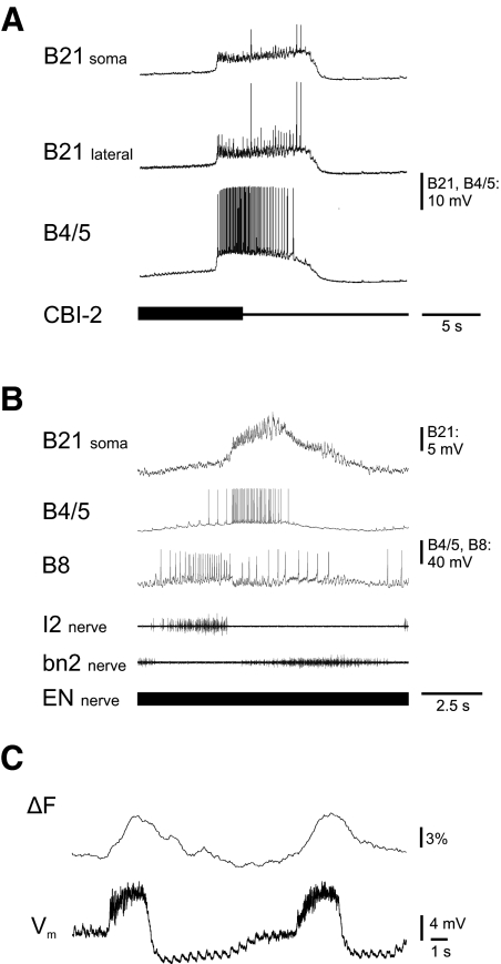 FIG. 3.