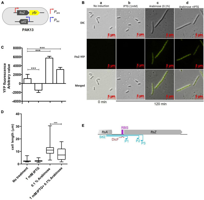 FIGURE 3