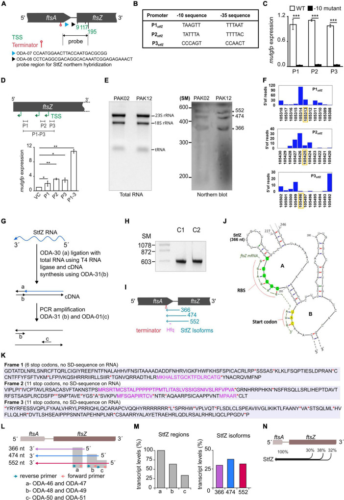 FIGURE 2