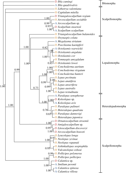 Figure 2.