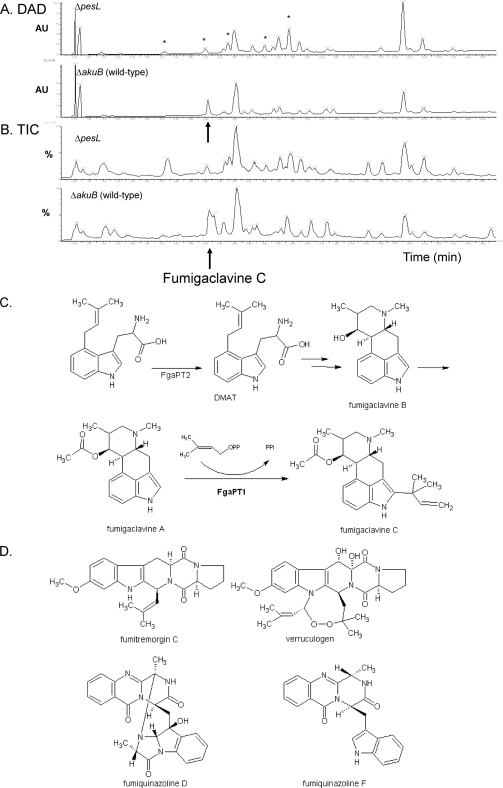 Fig 2