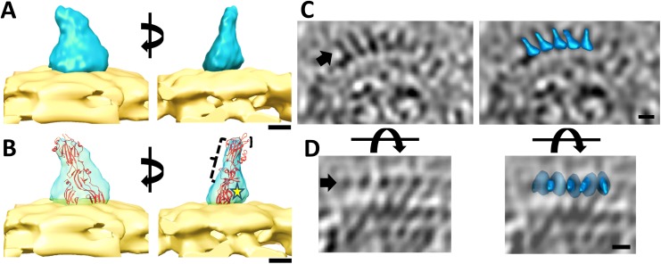 Fig 3