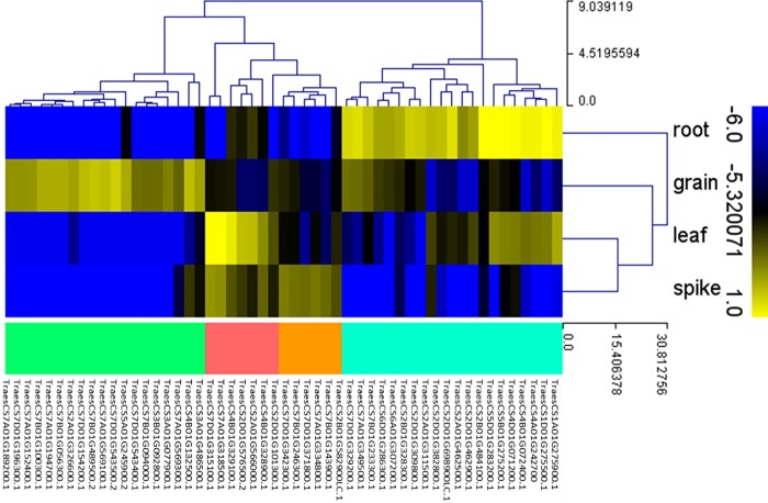 Fig 6