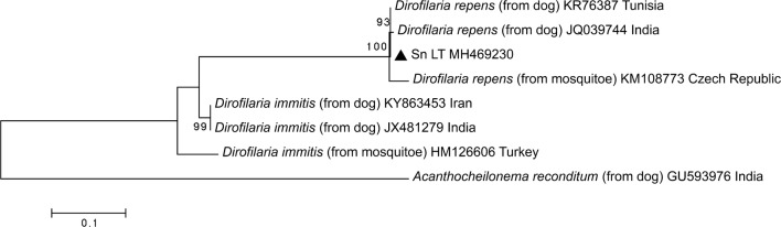 Fig. 4