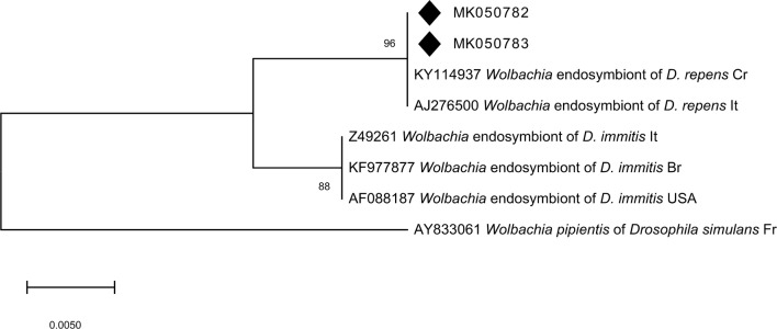 Fig. 6