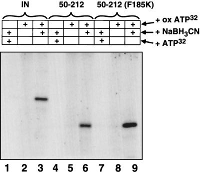 FIG. 7