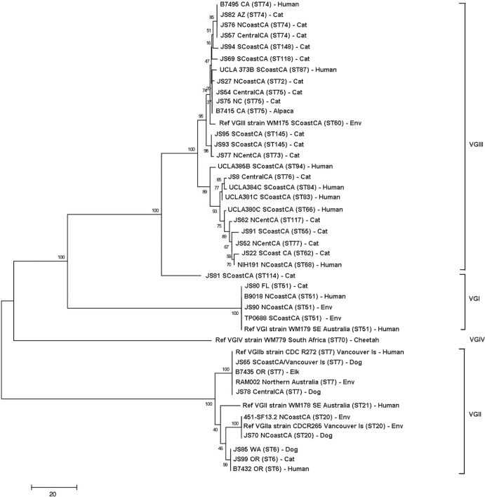 FIG 3